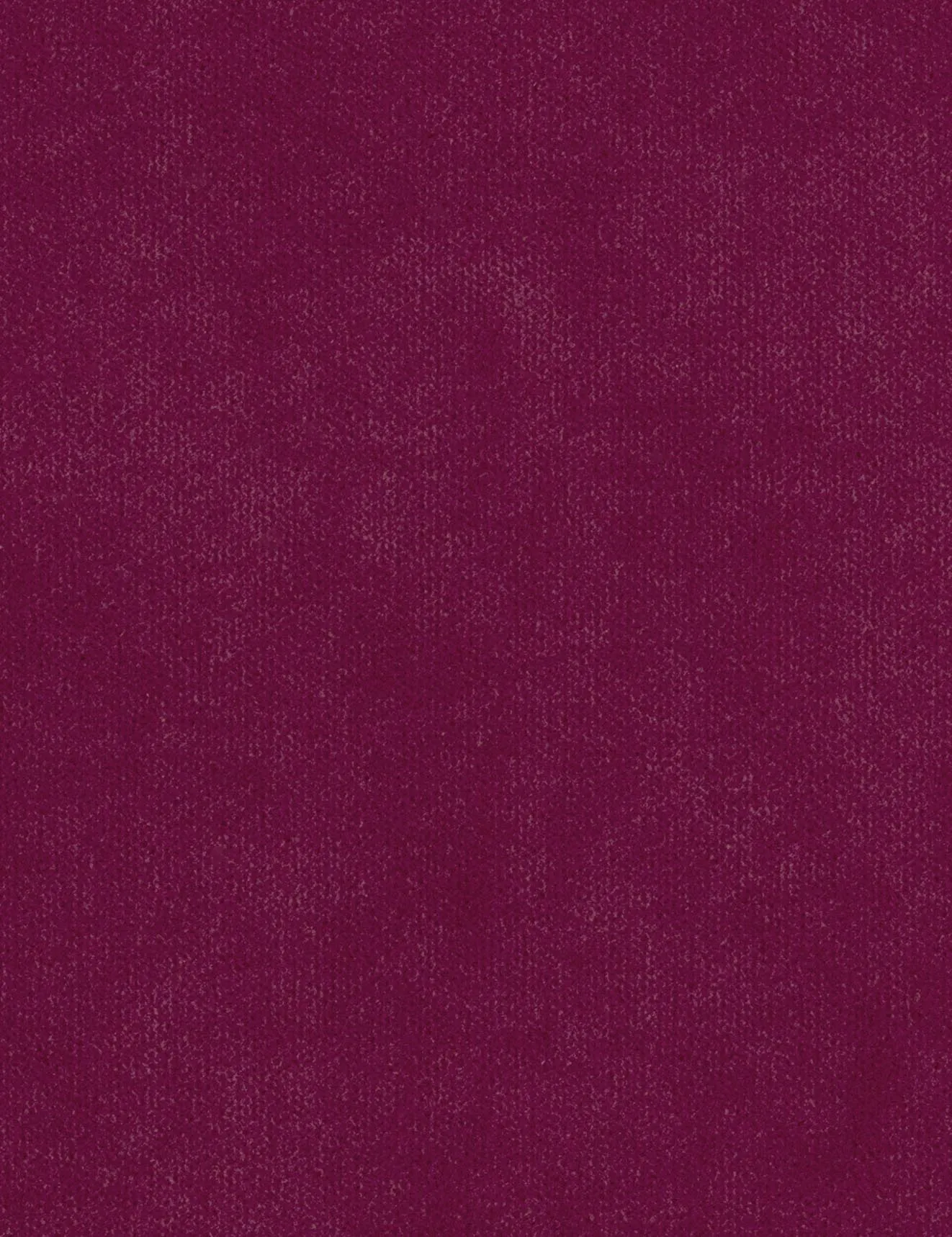 Solo-raspberry sorbet