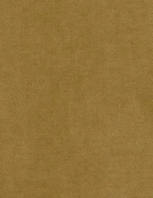 Solo-sand dune