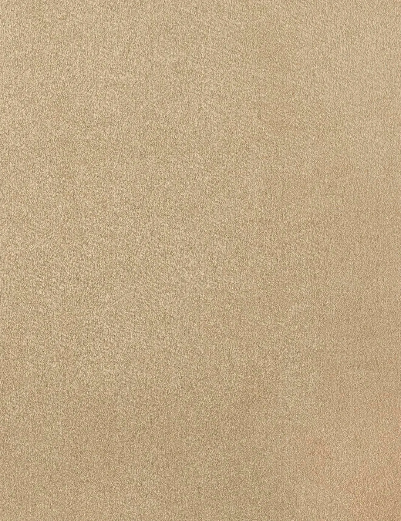 Sydney-camel