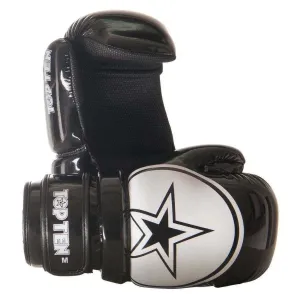 Top Ten Glossy Block Star Pointfighter Gloves