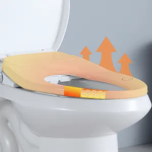 Ultra Smart Lightweight Electronic Bidet Toilet Washlet Seat