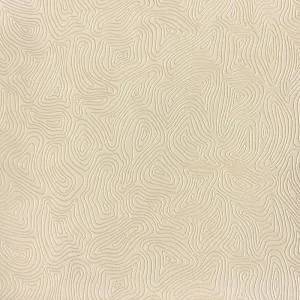 Zone-Seashell